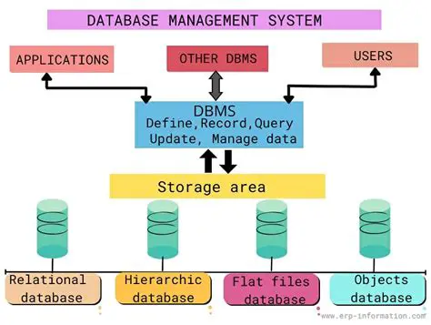 Introduction to Myrasoft Media Databases