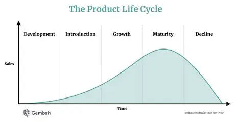 Introduction to the Product Life Cycle
