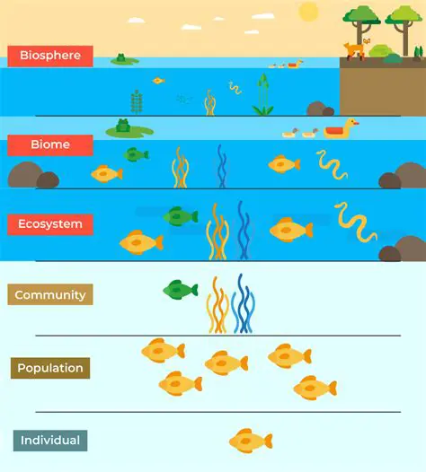 Key Characteristics of Ecological Studies