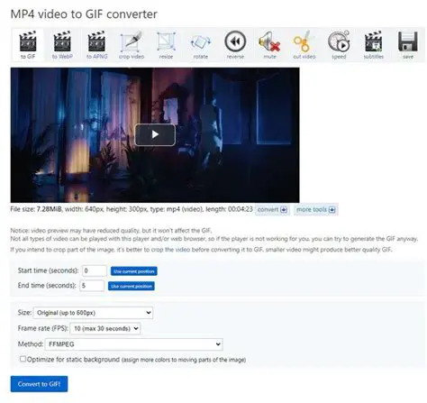 Key Features of Free Easy Video to GIF Converter