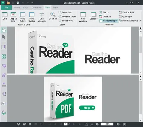 Key Features of Gaaiho Reader