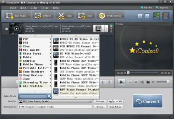 Key Features of iCoolsoft MKV Converter