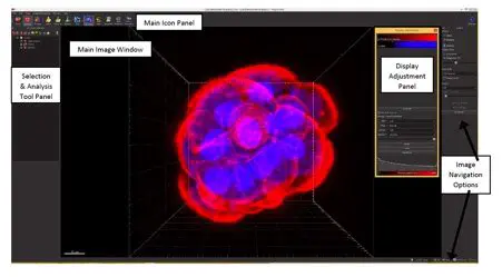Key Features of Imaris SceneViewer