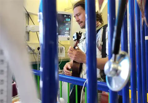 Key Features of Micrologus Musician Training Center