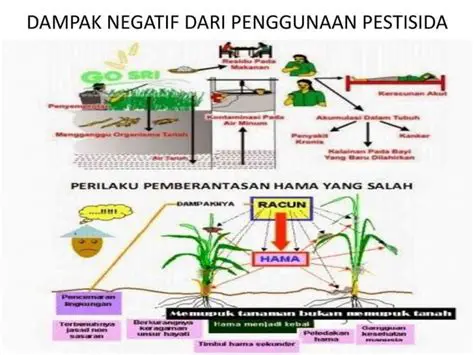 Kurangnya Penggunaan Pestisida