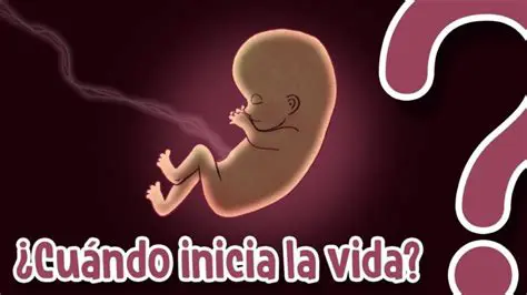 La Importancia de la Vida Humana