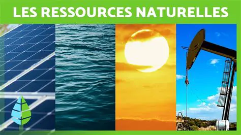 La richesse en ressources naturelles