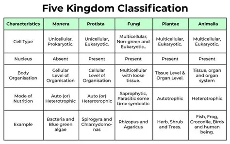 Main Features of the Kingdoms of Camelot Helper