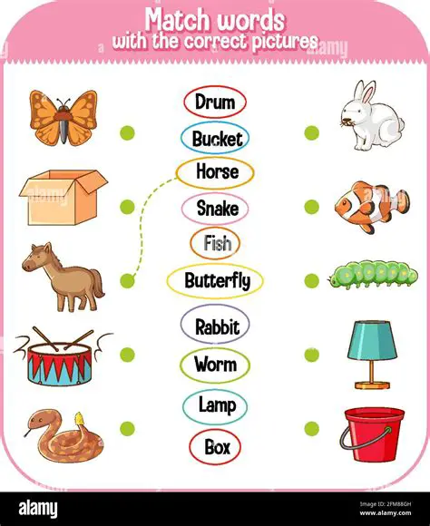 Match the words with pictures