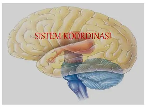 Mengembangkan Keseimbangan dan Koordinasi