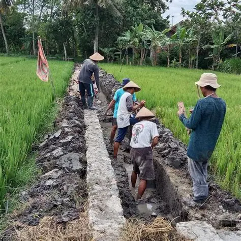 Mengembangkan Pembangunan Daerah