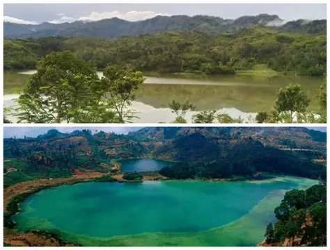 Mengungkap Maksud di Balik Kalimat