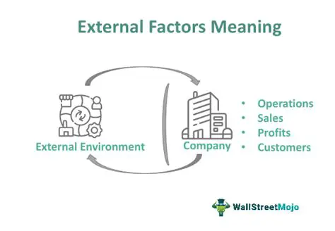 Not accounting for external factors