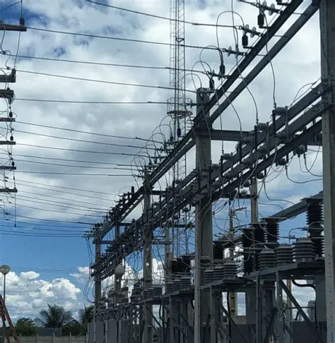 O Papel do Ovo no Fornecimento de Energia
