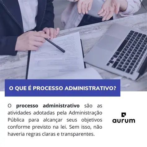 O Processo Administrativo no Brasil