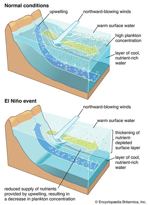Other Factors that Influence Upwelling
