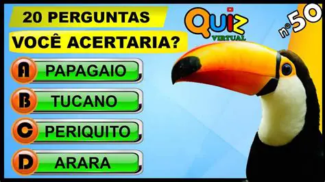 Perguntas e Respostas sobre o Humor de Calvin