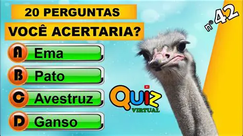 Perguntas e Respostas sobre o Jogo de QVL