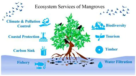 Phytoplankton abundance and distribution in mangrove waters