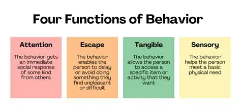 Possible Reasons for Different Behavior