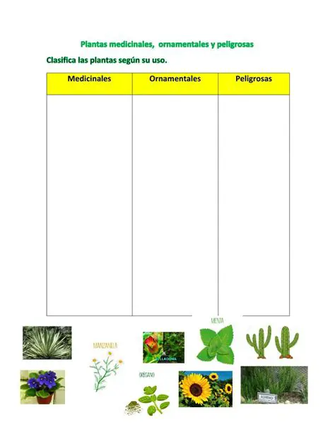 Preguntas y Respuestas sobre Descuentos en Tienda de Plantas Ornamentales