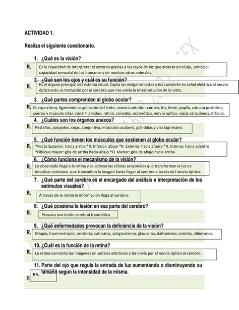 Preguntas y Respuestas sobre Garajes Ideales