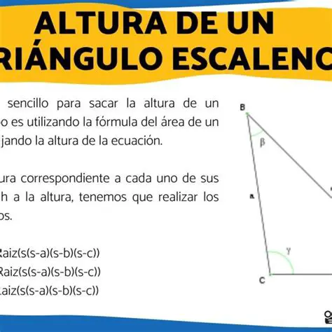 Preguntas y Respuestas sobre la Altura del Escalador
