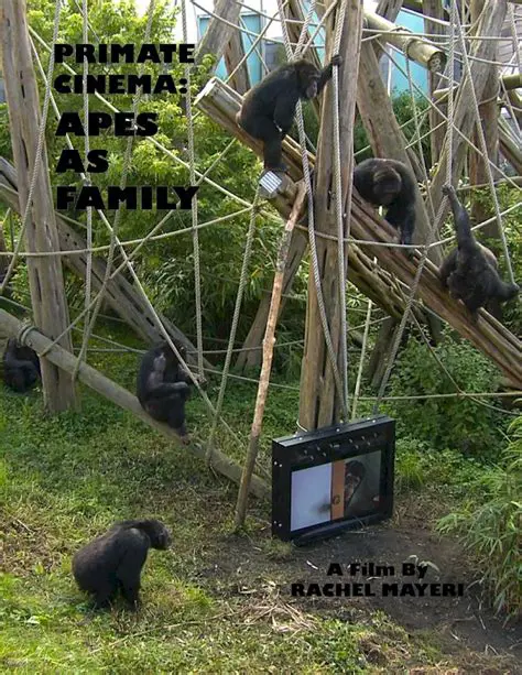 Primate Film: Exploring the Fascinating World of Primate Cinema