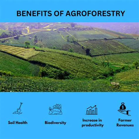 Promote sustainable agroforestry practices