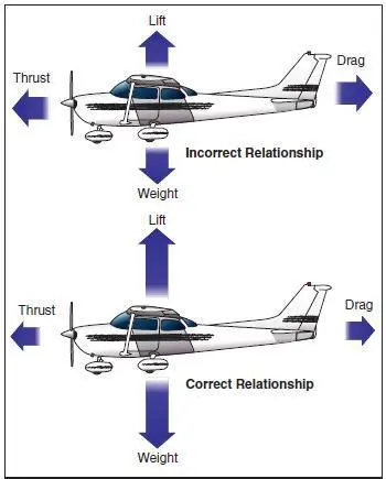 Relationship Between the Four Forces