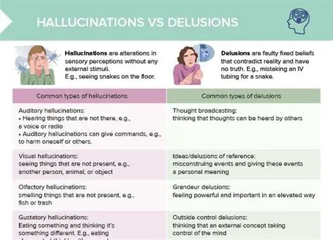 Search for a Sense of Calm and Hallucinations