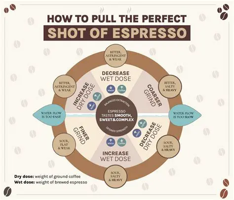 Select the type of extraction