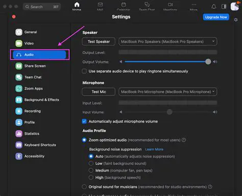 Set different mute settings for slides