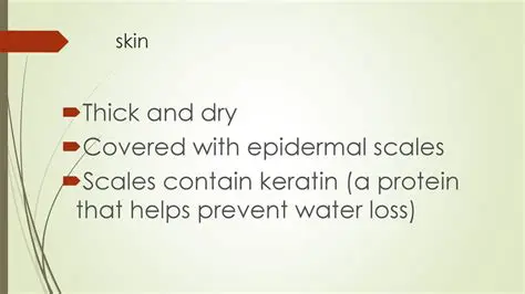 Specialized skin and scales that prevent water loss