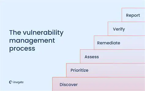 Steps to Reproduce the Vulnerability
