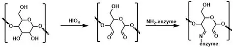 Synthesis of Dialdehyde Cellulose