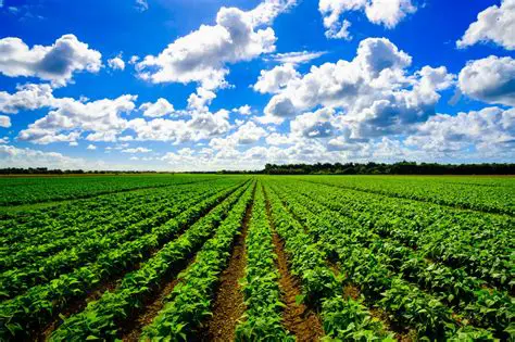 The Agricultural Landscape