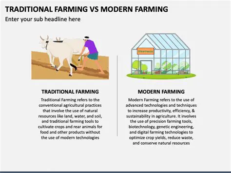The Benefits of Traditional Cuisine