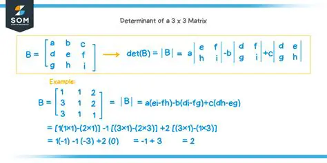 The Coefficient Matrix and Its Determinant