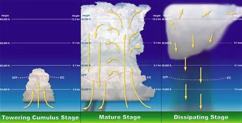 The Dissipating Stage of Thunderstorms