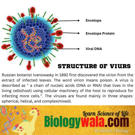The Emergence of DNA Viruses