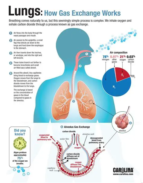 The Gas That Removes the Color