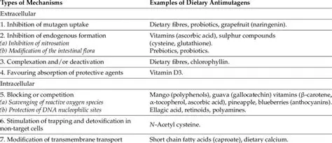The Importance of Antimutagenic Agents