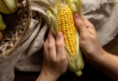 The Importance of Corn Pemipil