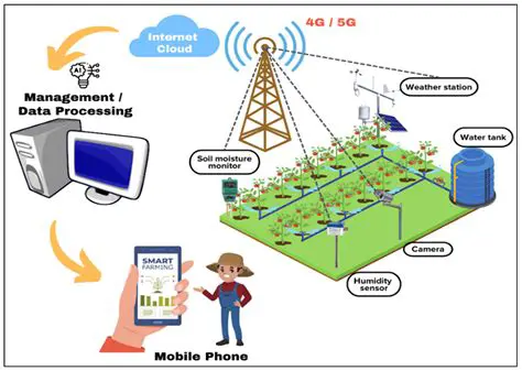 The Importance of Information Systems for Agriculture