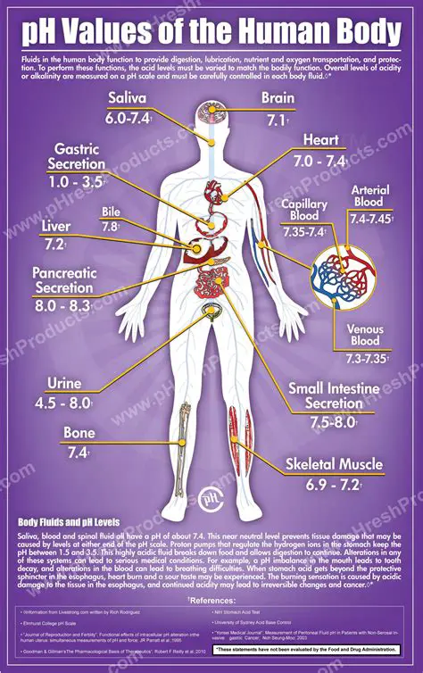 The Importance of pH in Human Biology