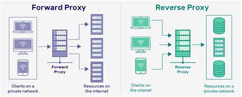 The Importance of Proxies in SEO