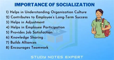 The Importance of Socialization in Modern Taxation Administration
