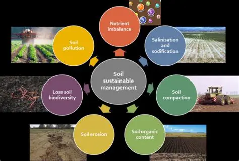 The Importance of Soft Soil Improvement Techniques