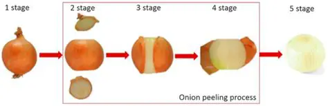 The Importance of Using Mechanical Onion Slicing Tools
